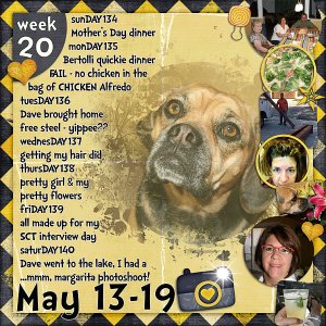 2012 - Week 20