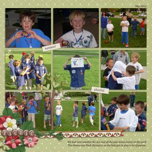 Scout Picnic