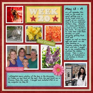 2012_Week20