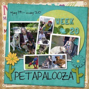 2012-week-20