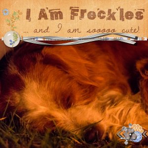 I am Freckles