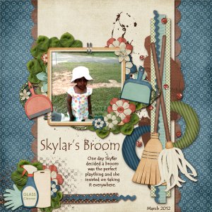 Skylar's Broom