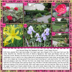 2012 52 Week 21
