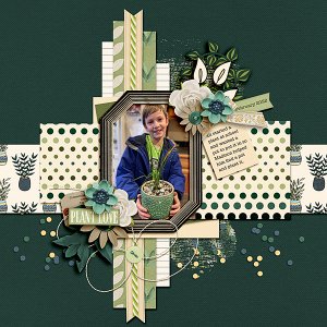 Eli-Plant