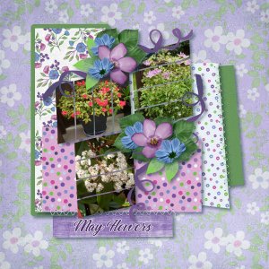 May Flowers
