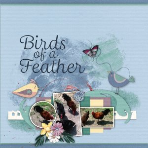 Birds of a Feather