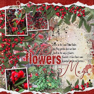 No FLowers in May