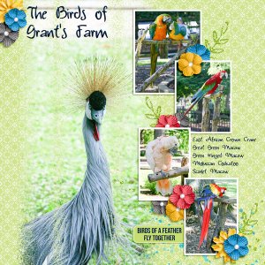 birds of grants farm