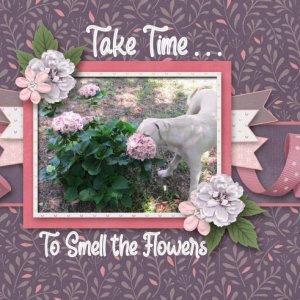 Take Time to Smell The Flowers