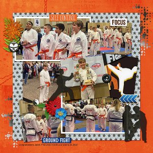 Orange Belt