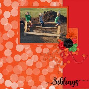 Play Horse