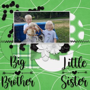 Big Brother