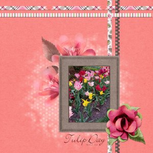 Tulip Day