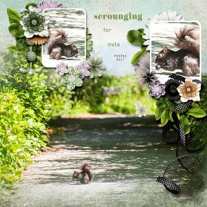 Scrounging For Nuts
