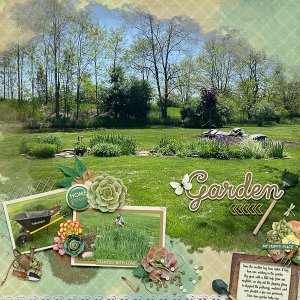 Our Flower Garden