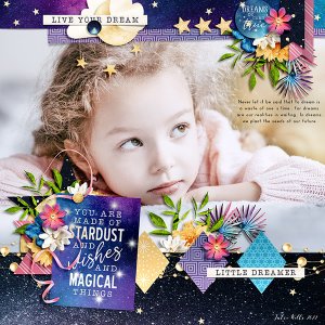 little dreamer