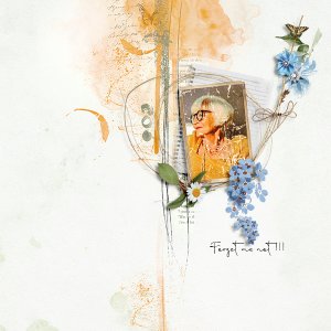 forget me not
