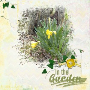 In the Garden