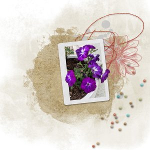 PBP Mystery Box challenge May 2022
