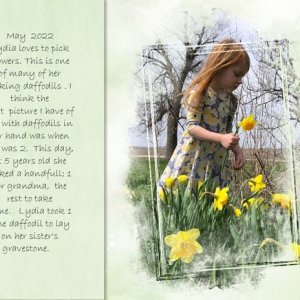Lydia - Daffodils