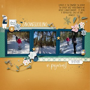 Snowshoeing 2022