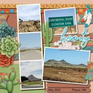 Beauty of the Desert