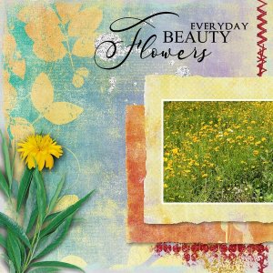 Everyday Beauty
