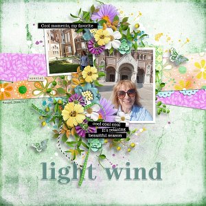 Light wild