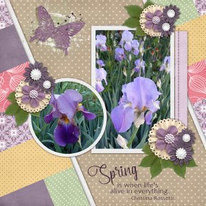 Spring