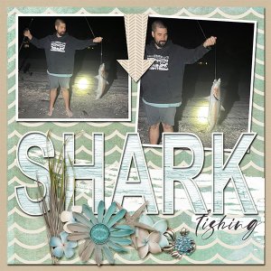 Shark Fishing