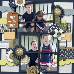 Fun in the Sun