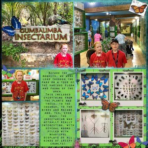 2019 Insectarium