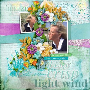 I-like-crisp-light-wind