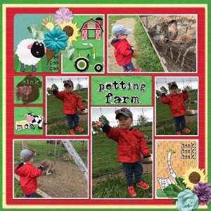 On The Farm