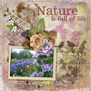 Nature-is-full-of-life1
