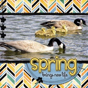 Spring
