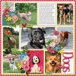 I love dogs