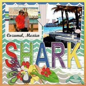 Shark