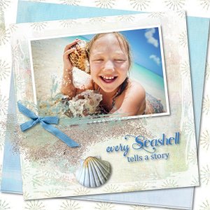 seashell