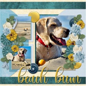 Beach Bum