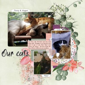 Cats