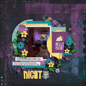 Night Owl
