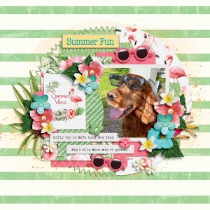 Summer Fun