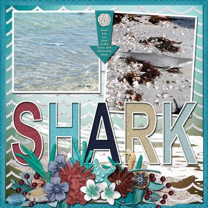 Sharks