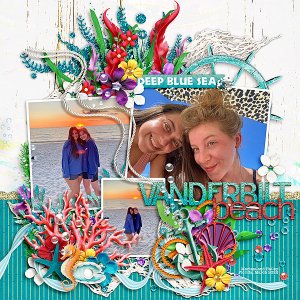 Vanderbilt Beach