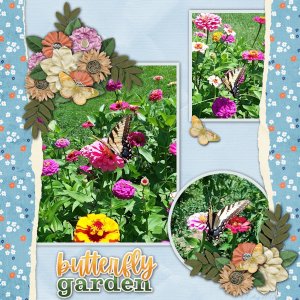 Butterfly Garden