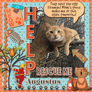 Rescue Me!