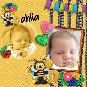 Dahlia