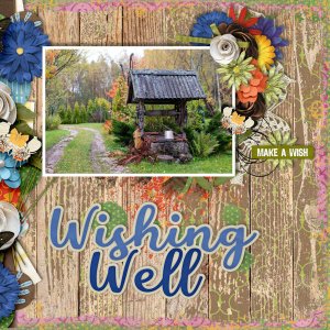 Wishing Well