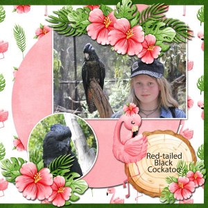 Flamingo Road